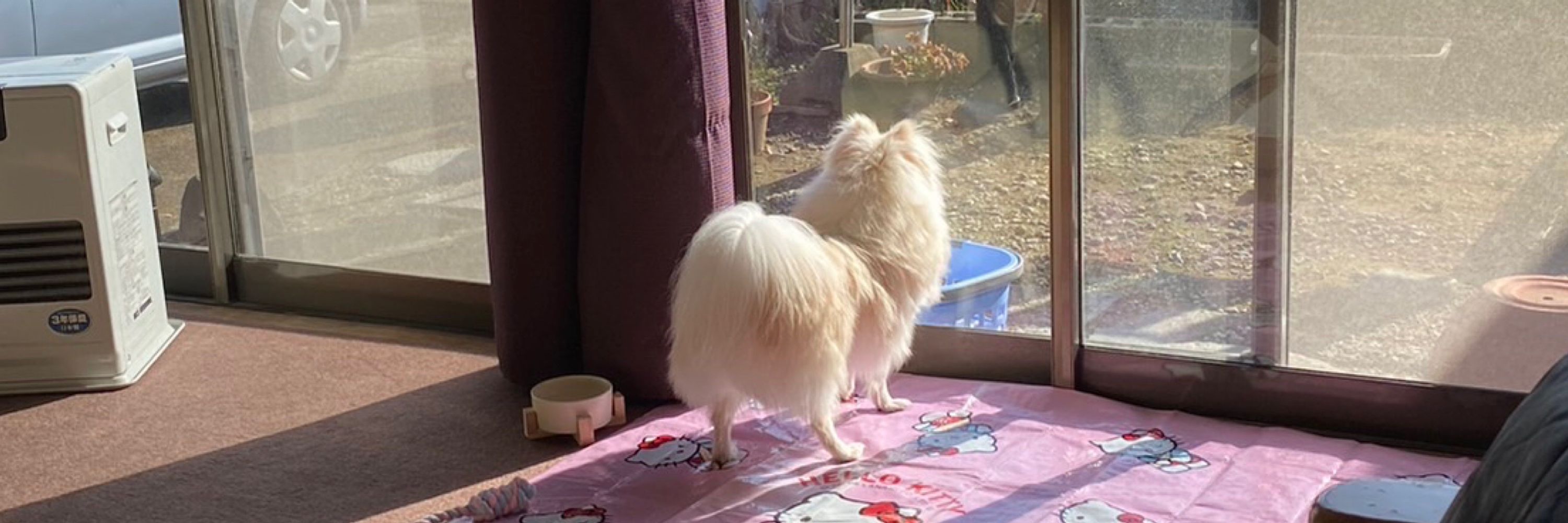 いちひろ