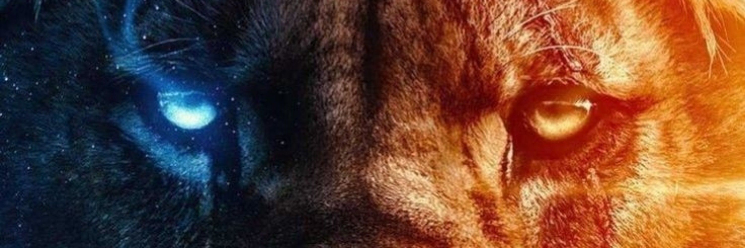 Refugiado do X🦁🇨🇵