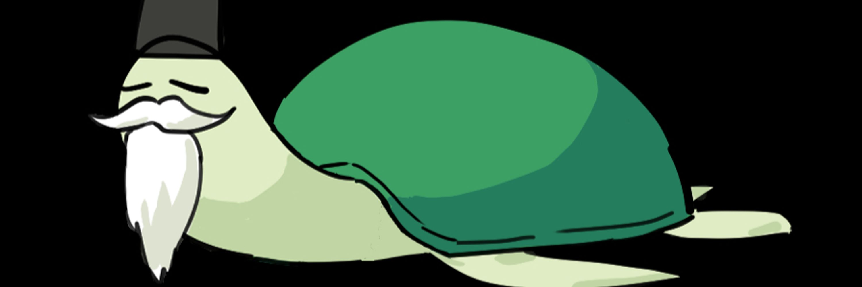 거북이_현