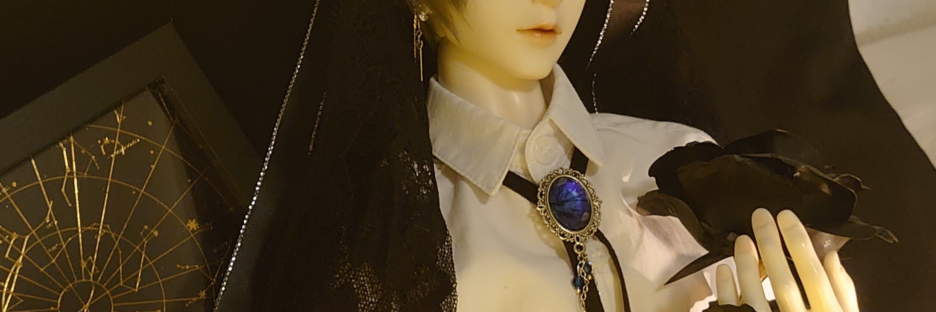 星伽✩.*˚Doll