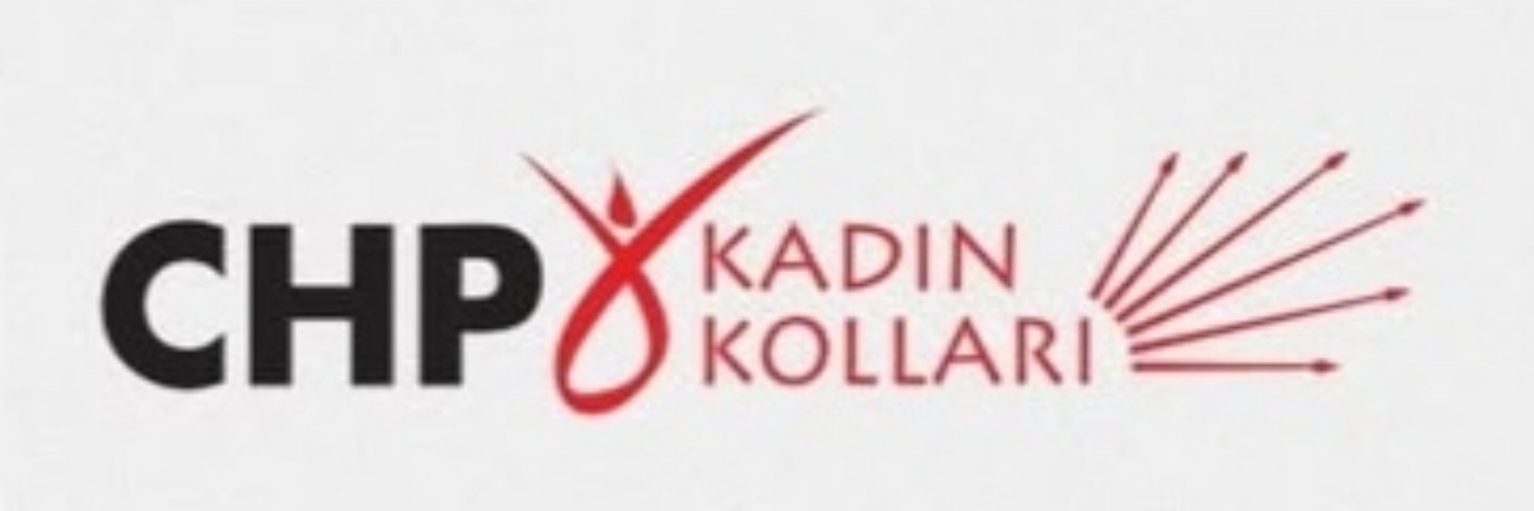 CHP KAĞITHANE KADIN KOLU BAŞKANI