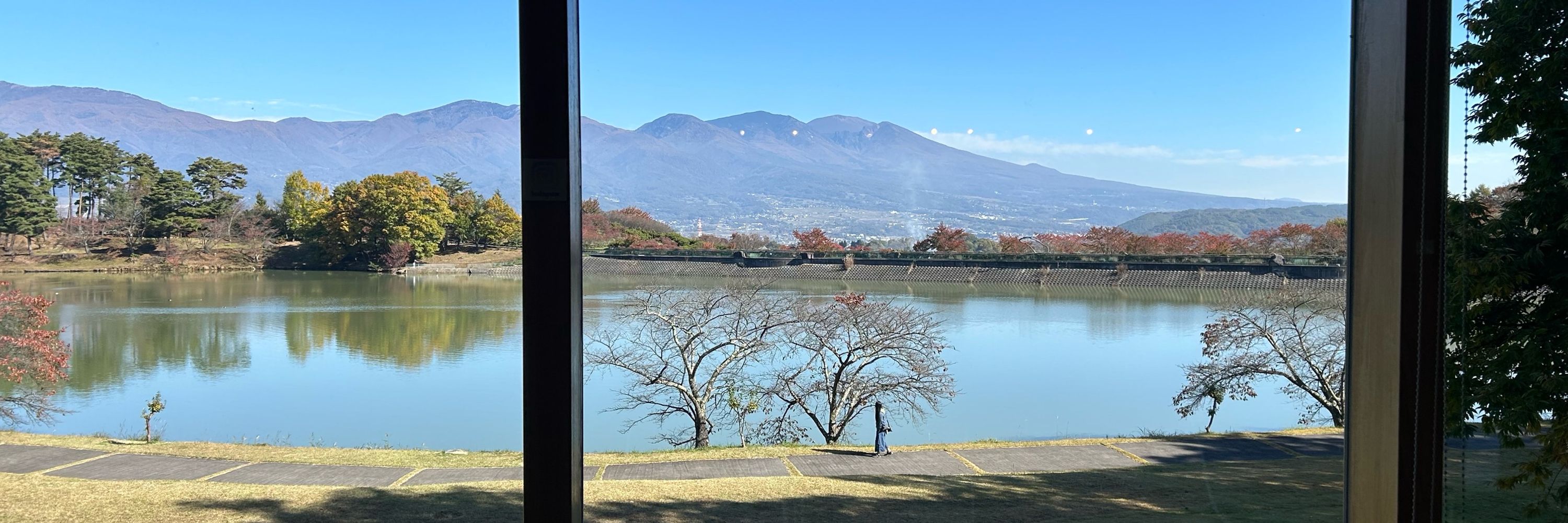 苺タルト