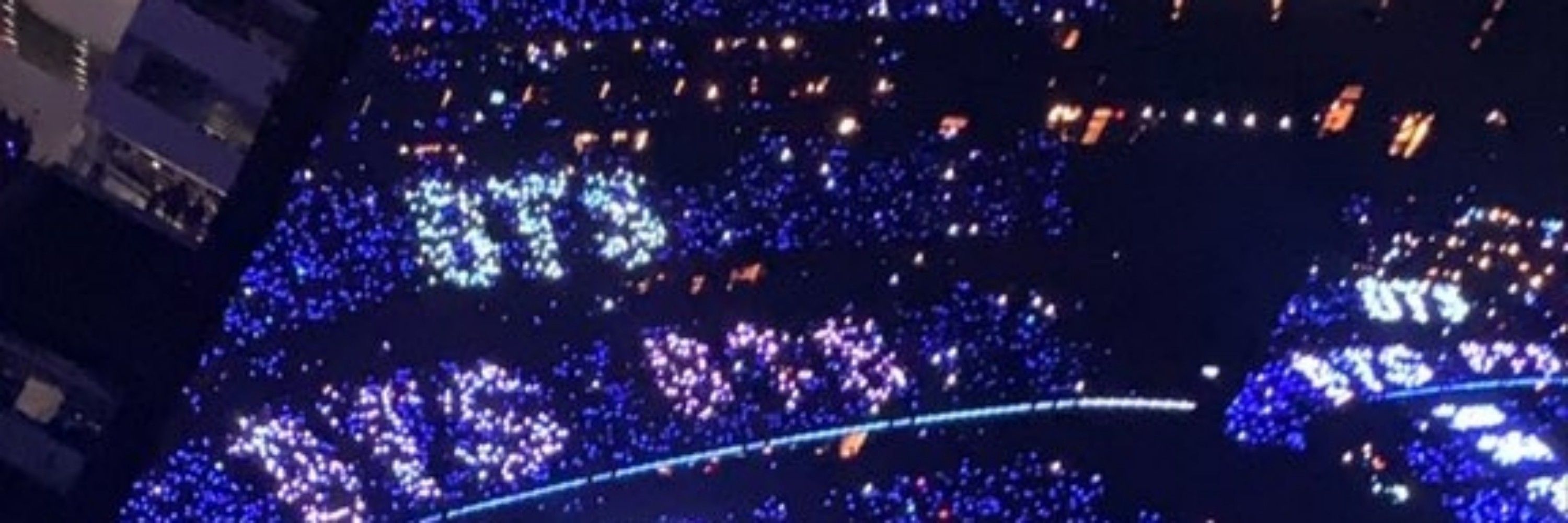 Anne_ army