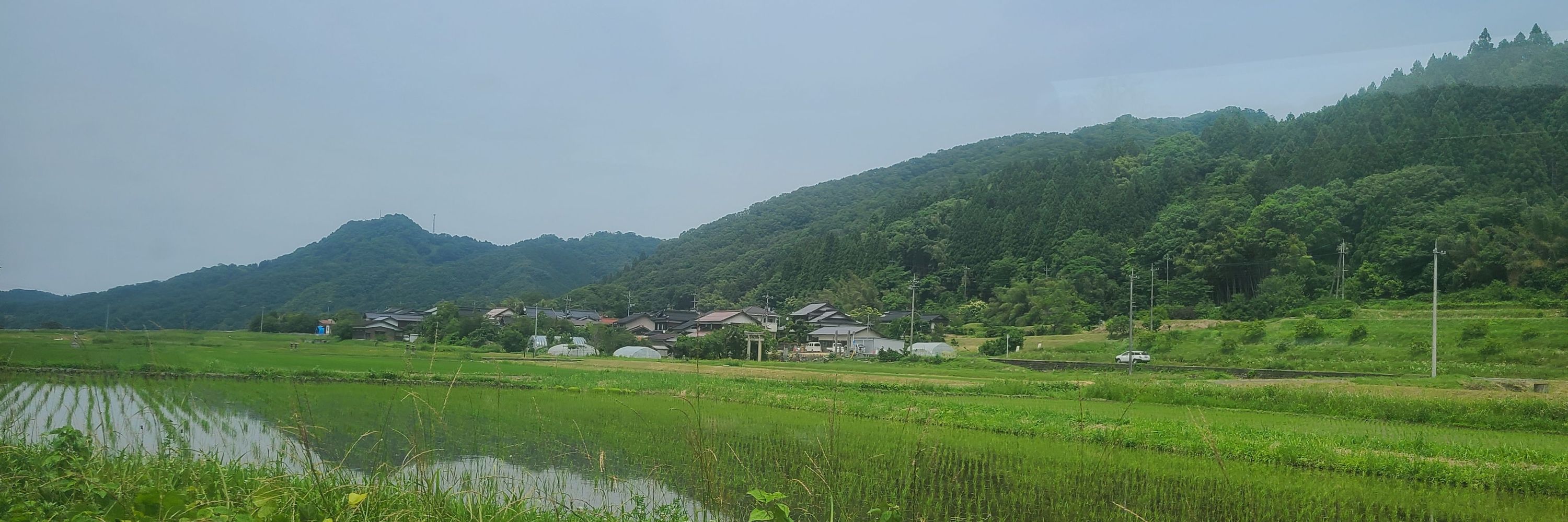 松木のいち
