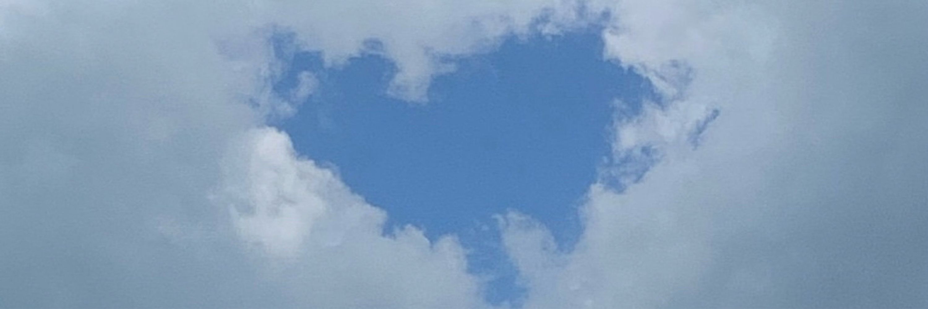 TrueBlueOptimist