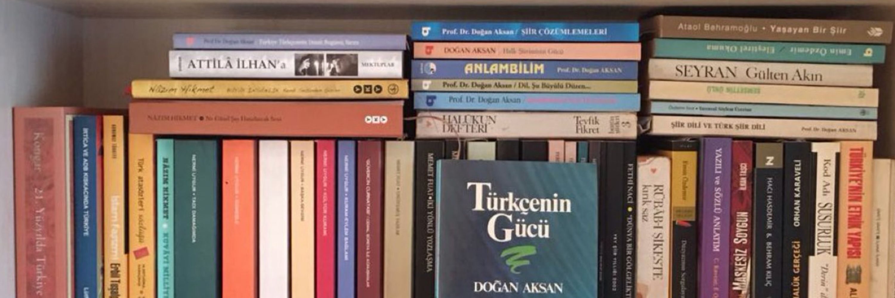 Turgut Çelik