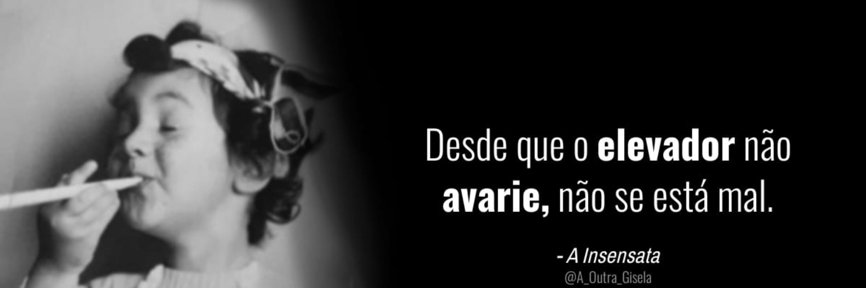 A Insensata