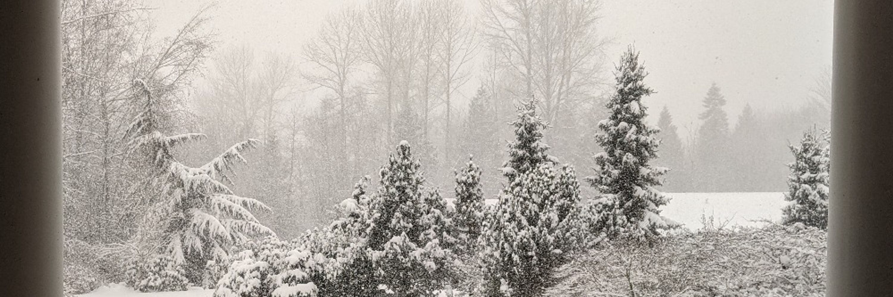 Winterheart