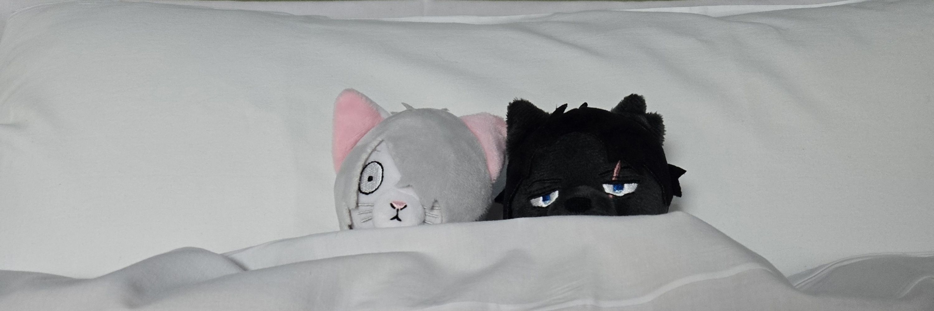 ゆづき