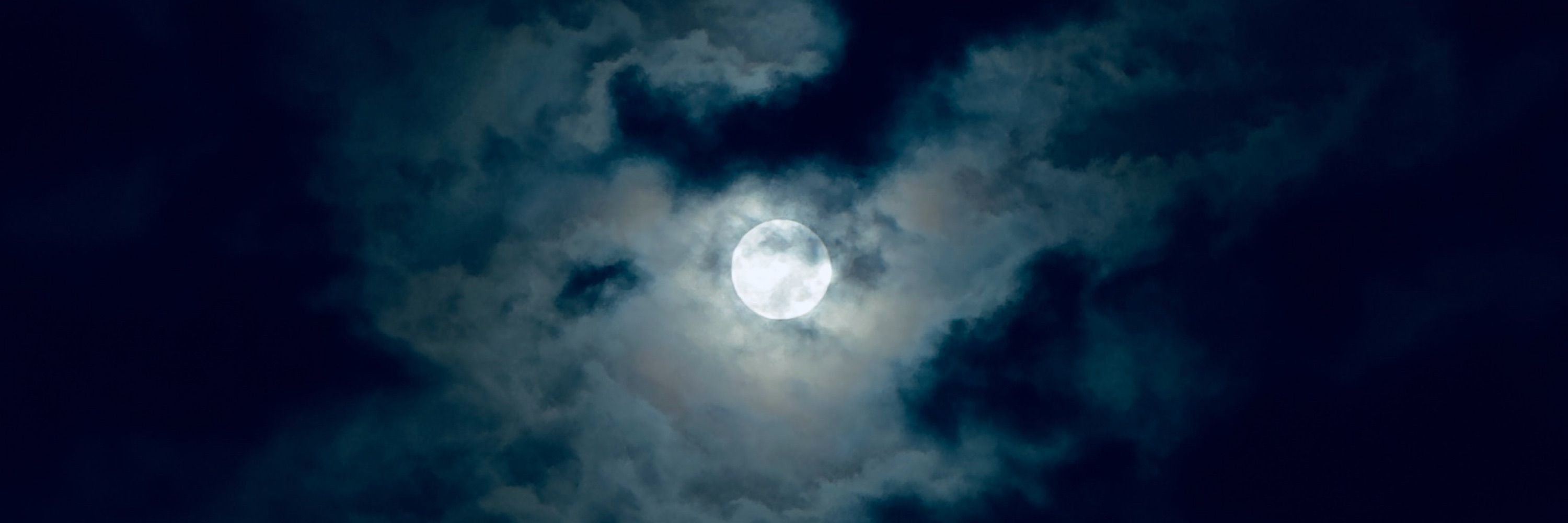 L 🌘 G A N