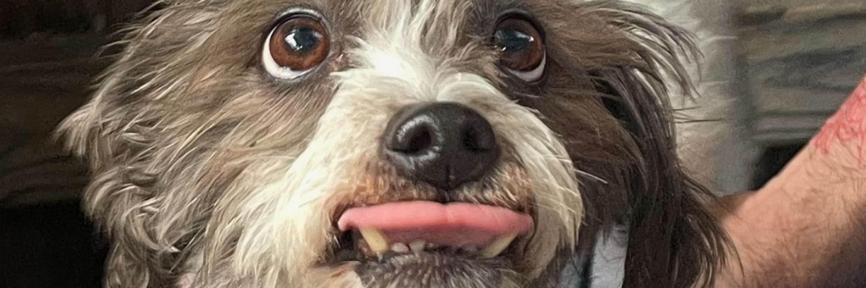 sam