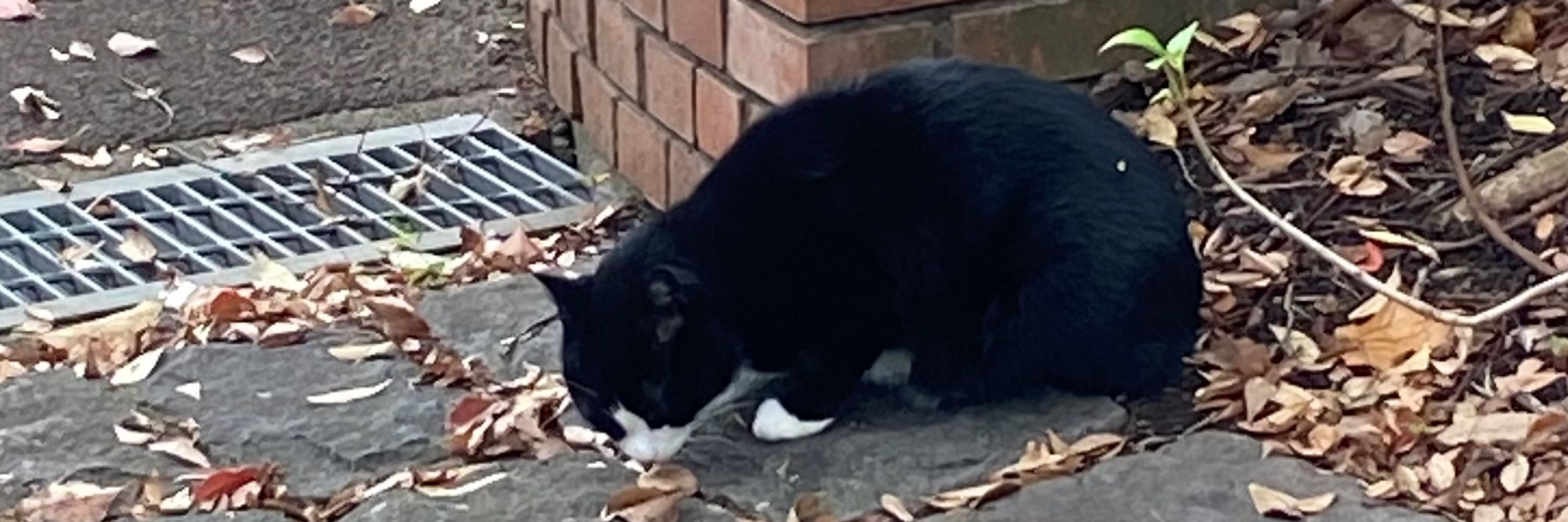 あ