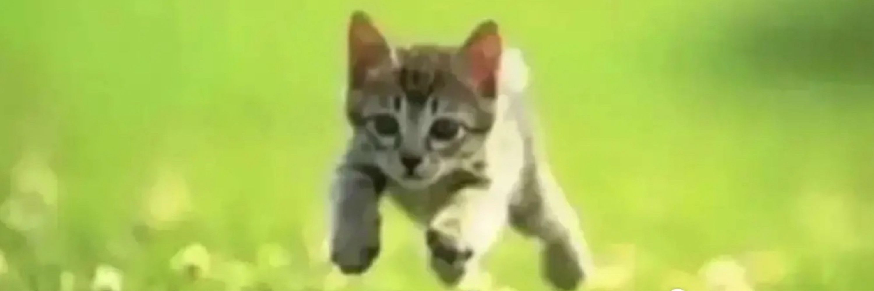 gab