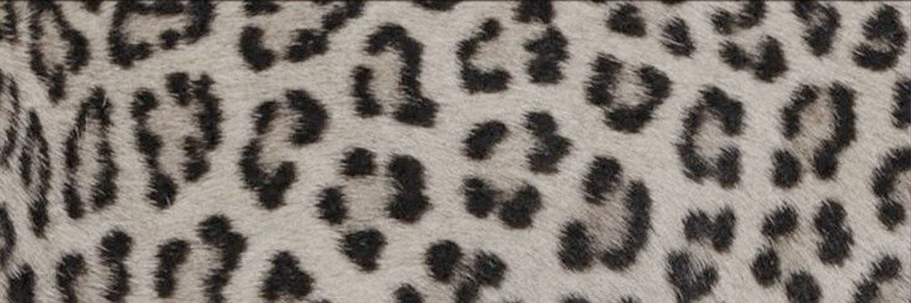 duda 🐆 