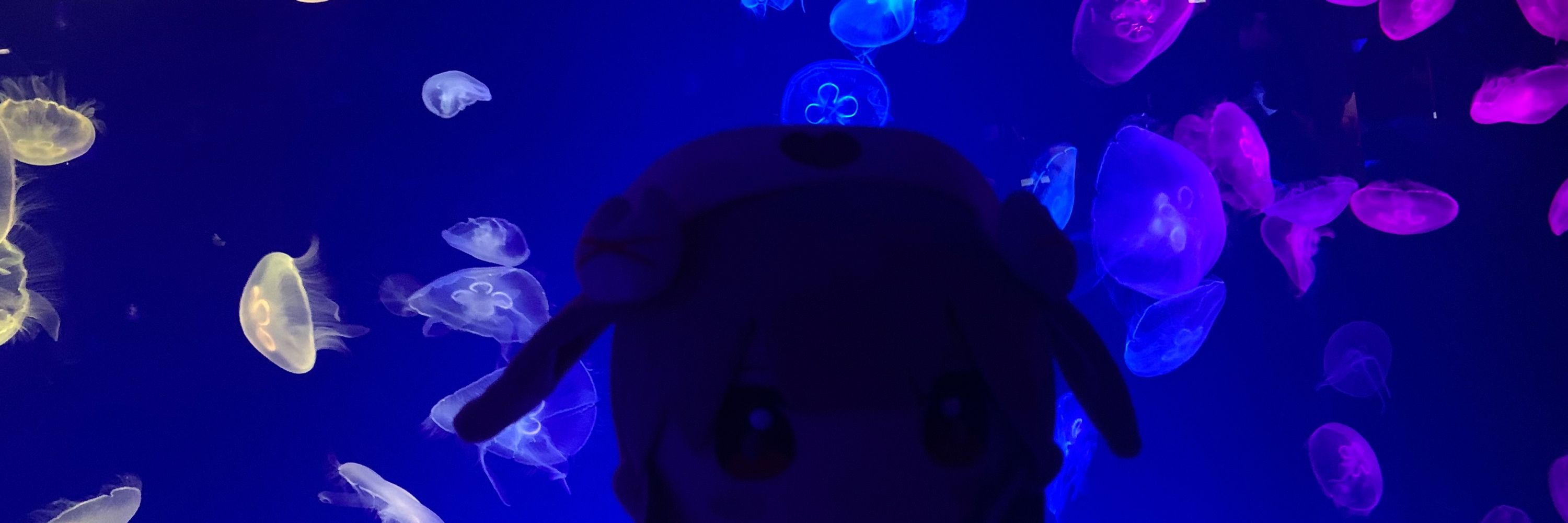あぶりマヨくうき