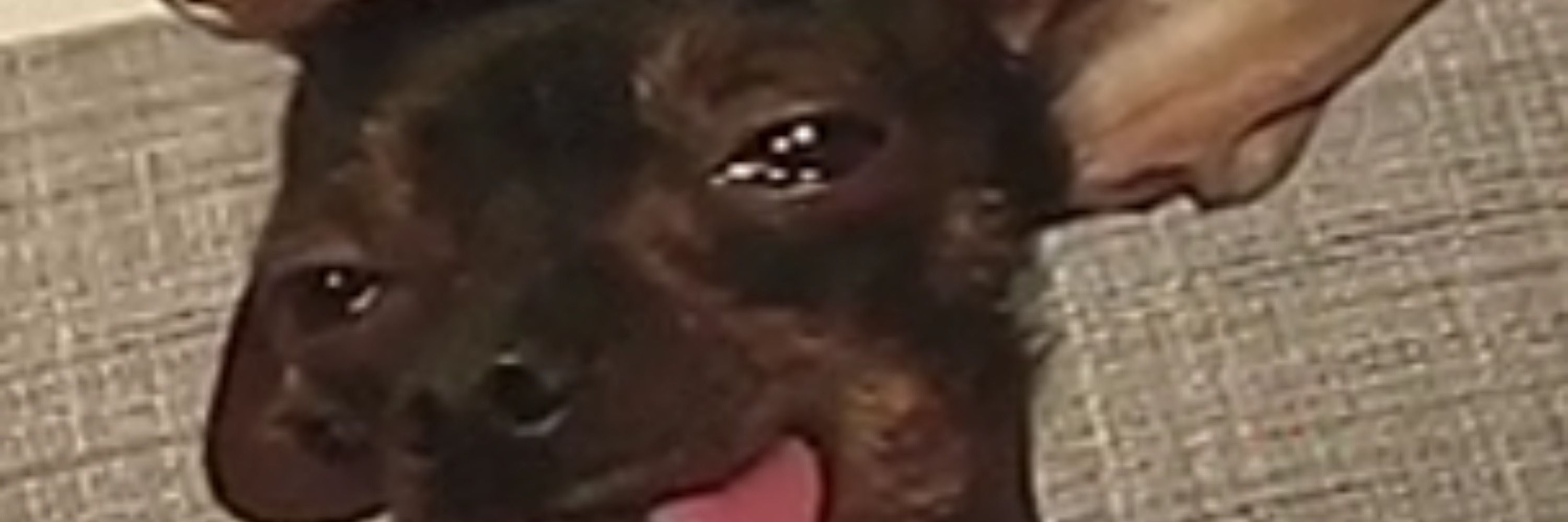 Bill