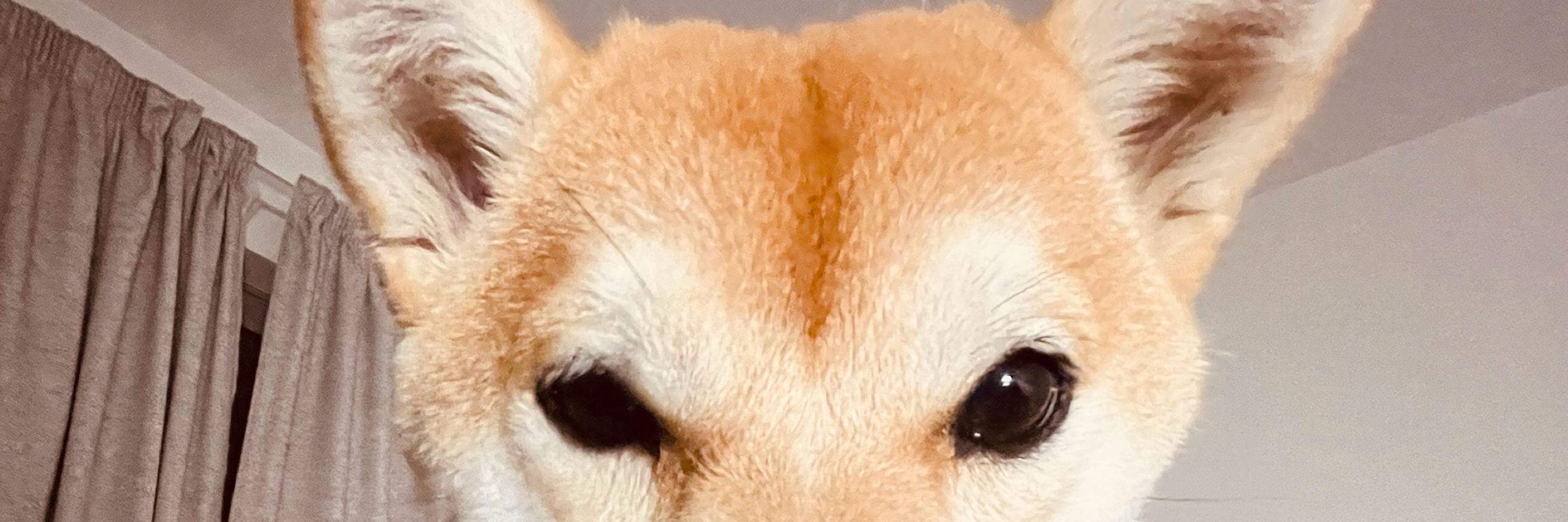 Tukakimatt