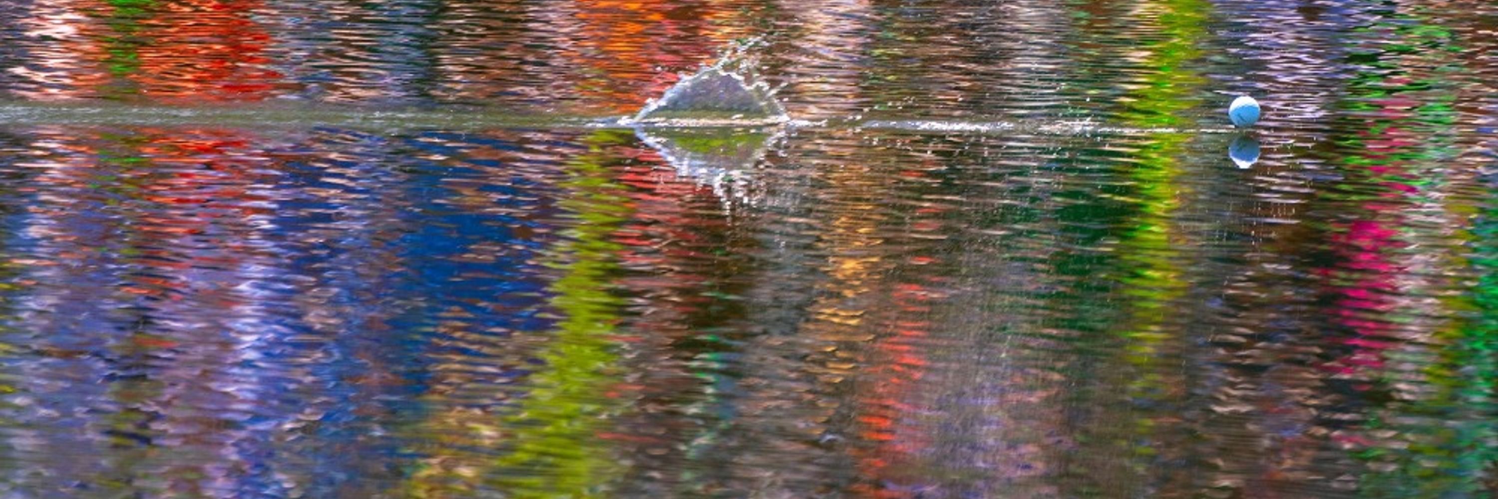 David Strohm