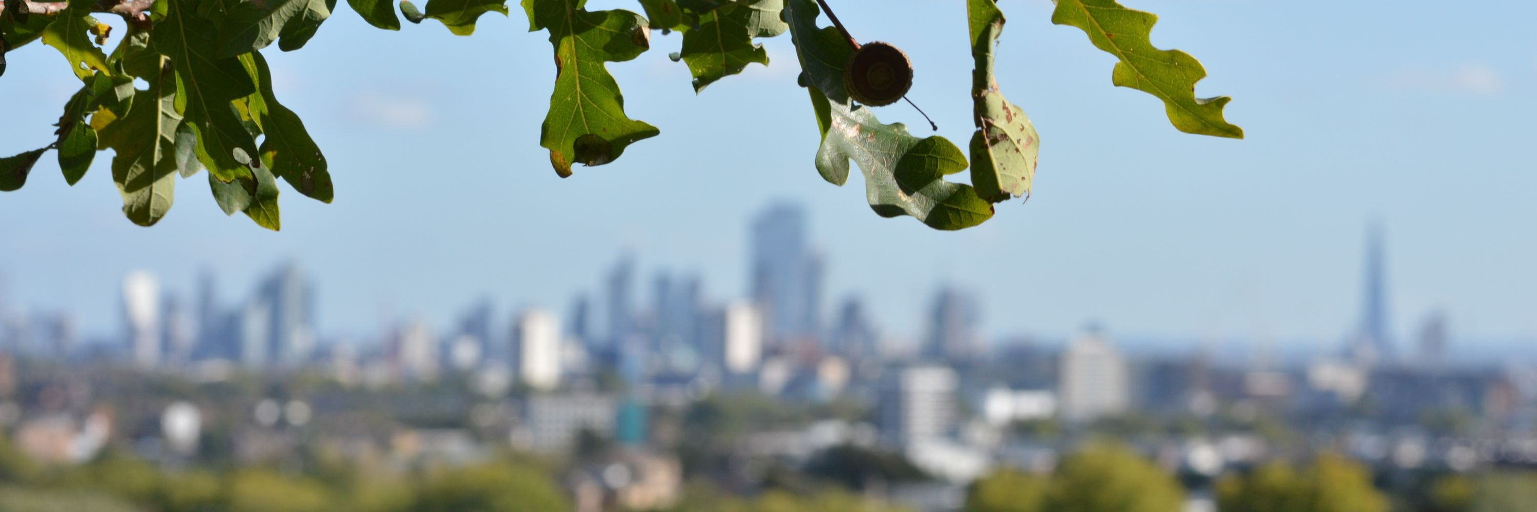 Greenspace Information for Greater London CIC