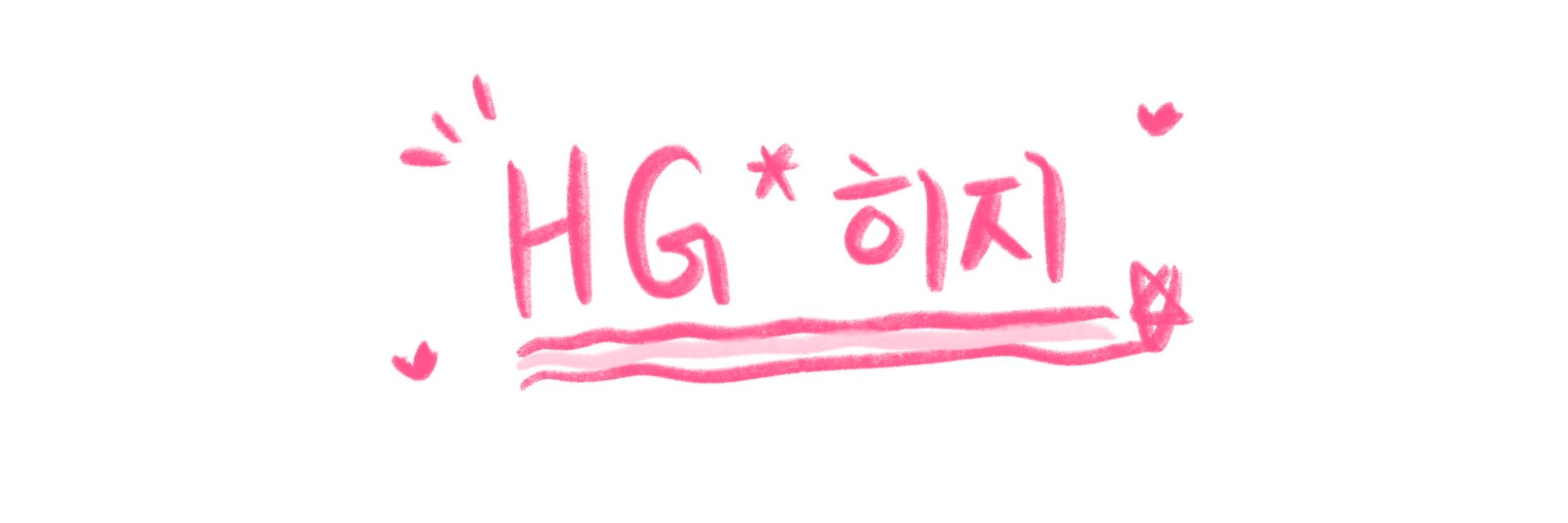 HG*히지