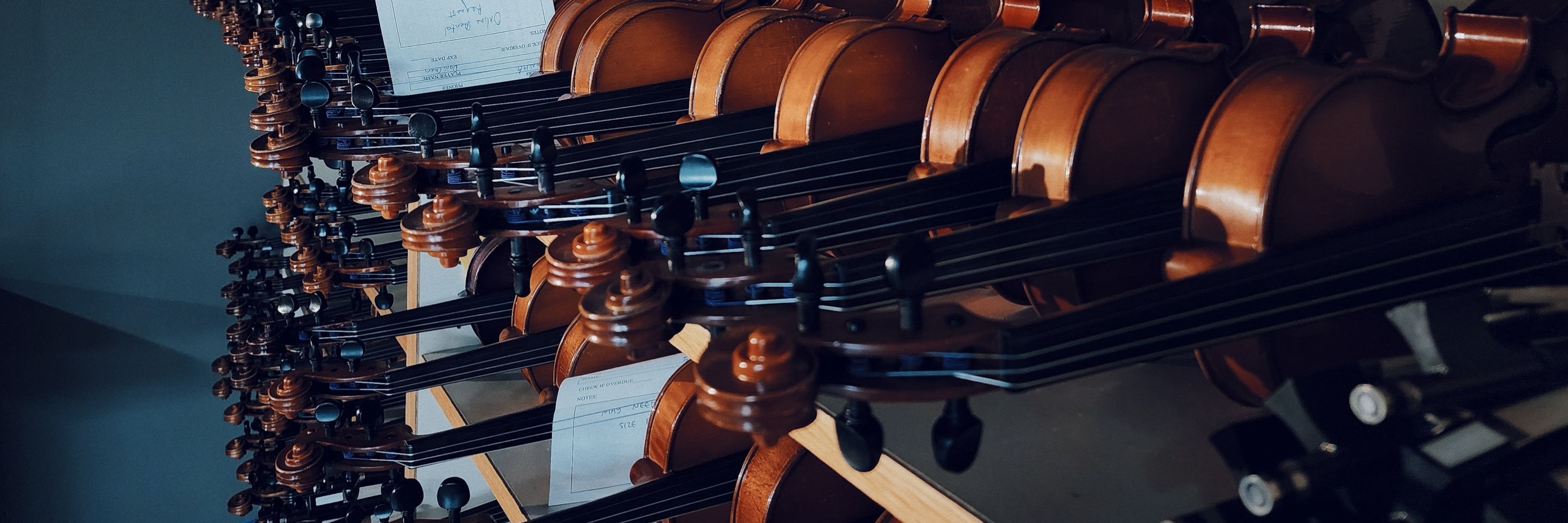 Johnson String Instrument