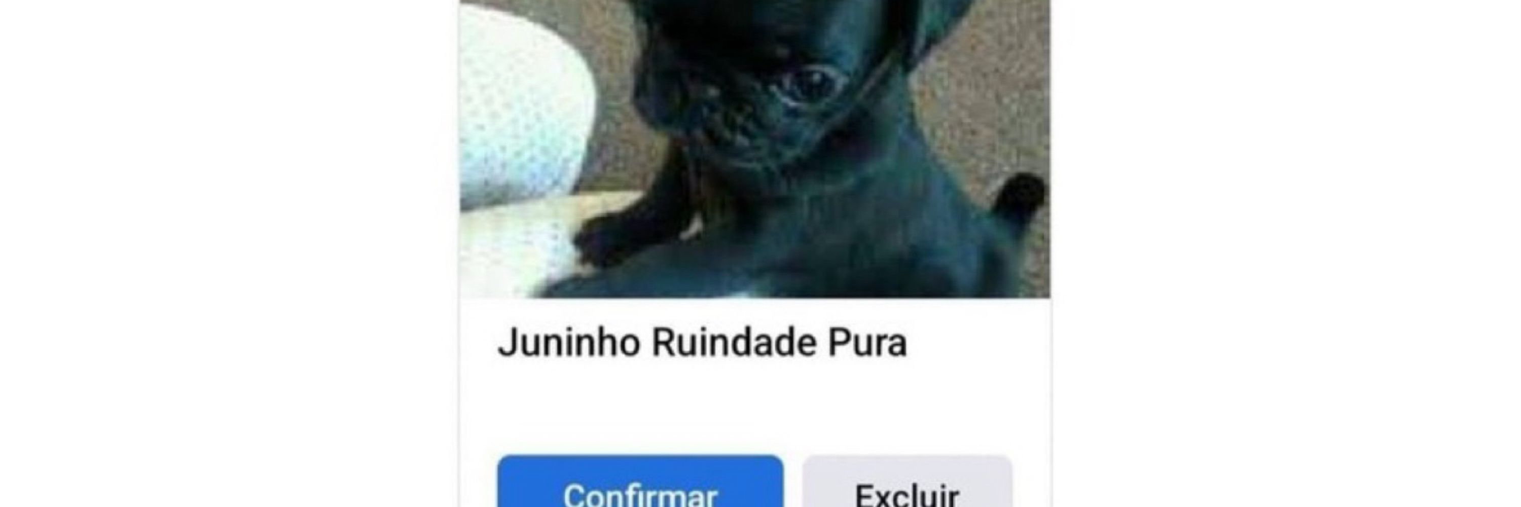 brendinha ruindade pura