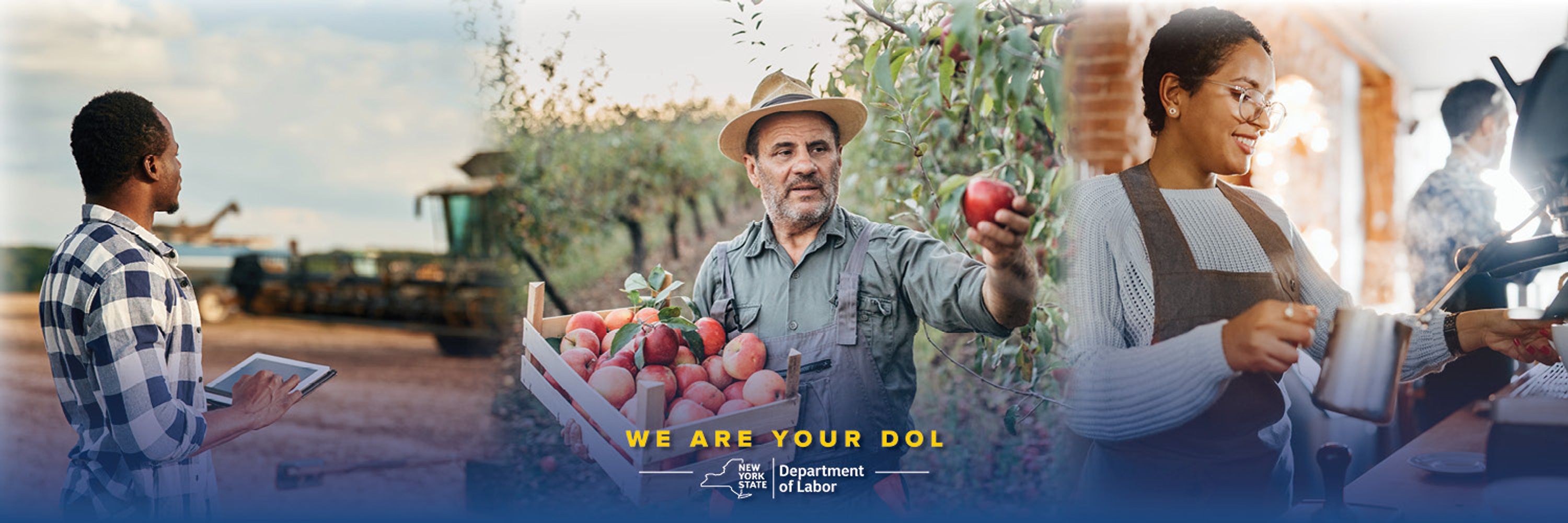 NYS Department of Labor