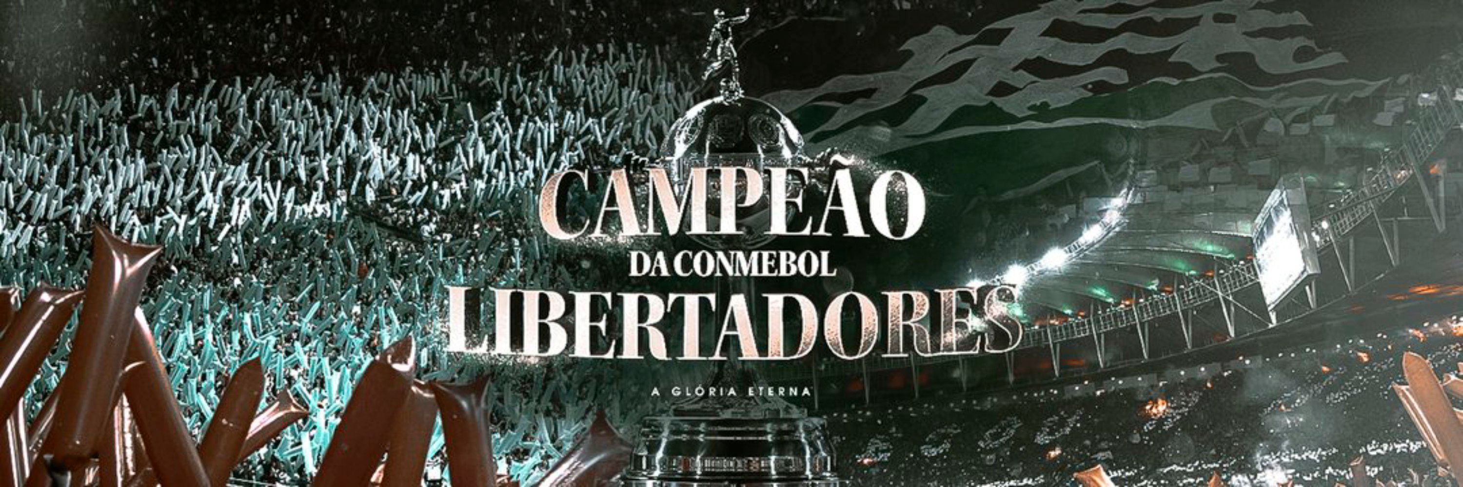 p7drivo ᶠᶠᶜ 🇭🇺 CAMPEÃO DA AMÉRICA