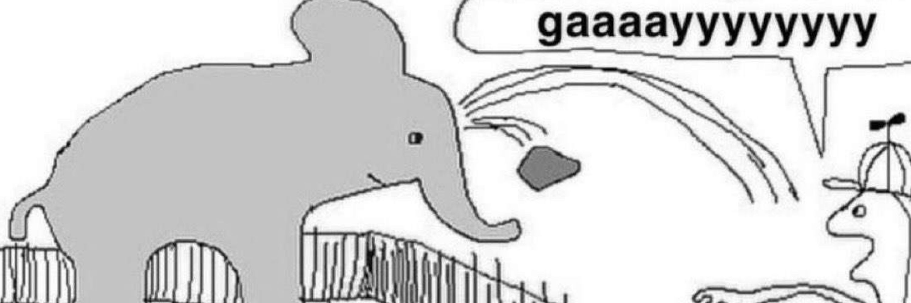 ck