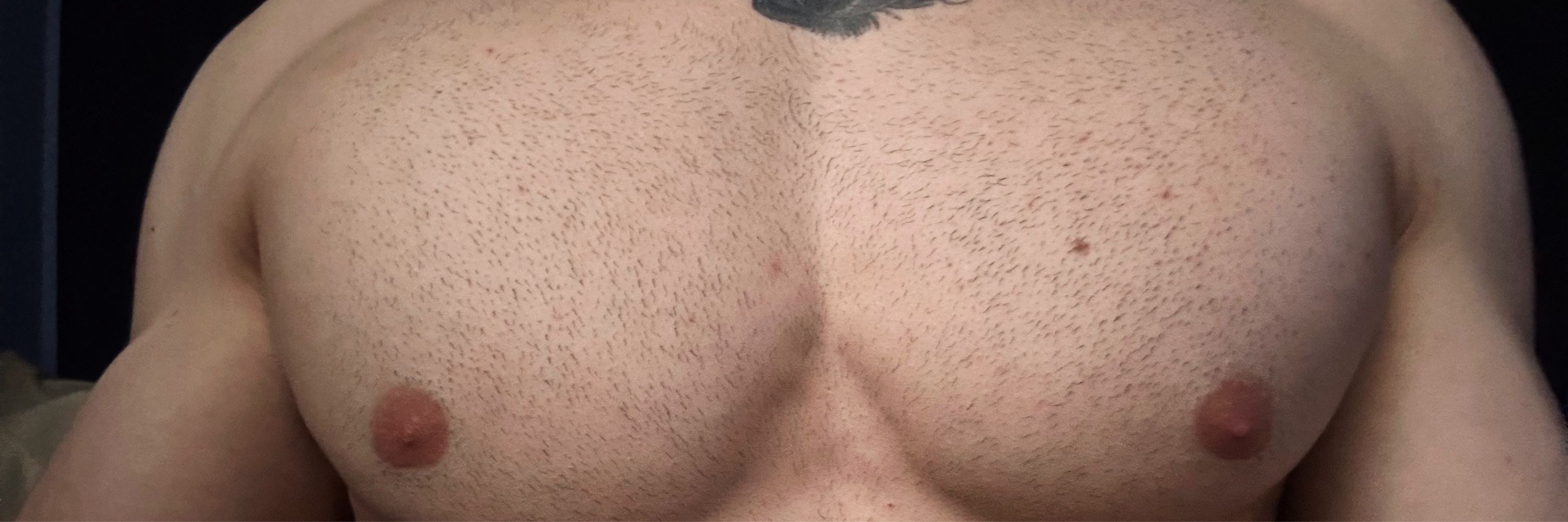 Antoniosebert