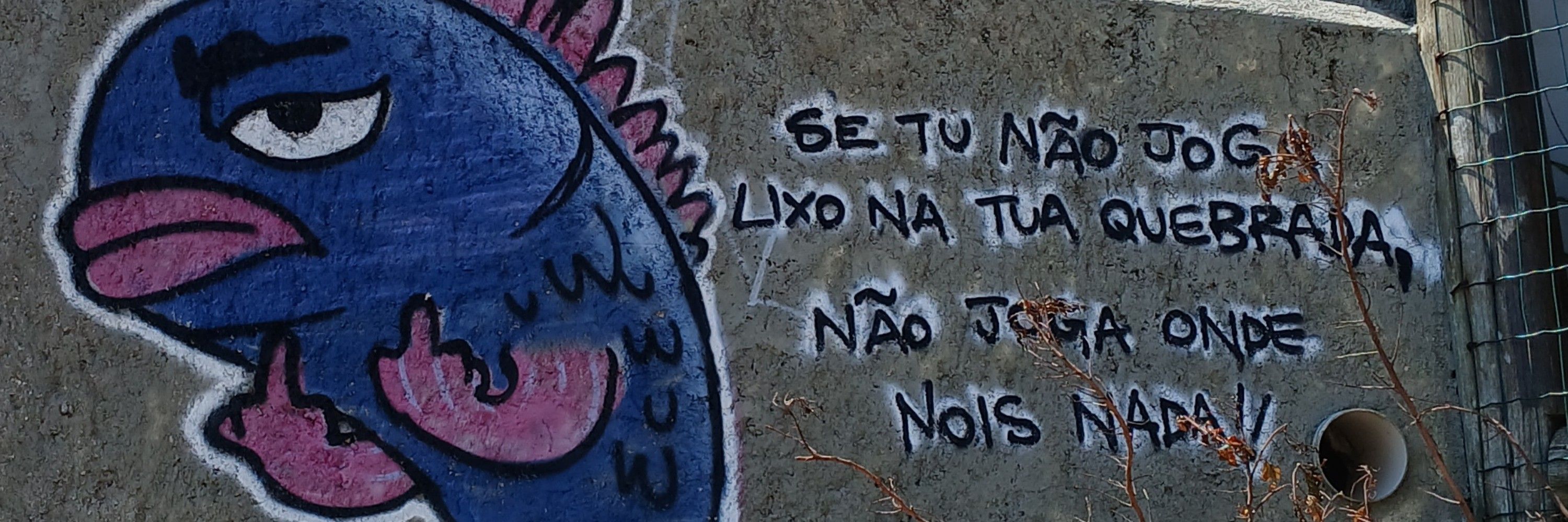 Mandinha 