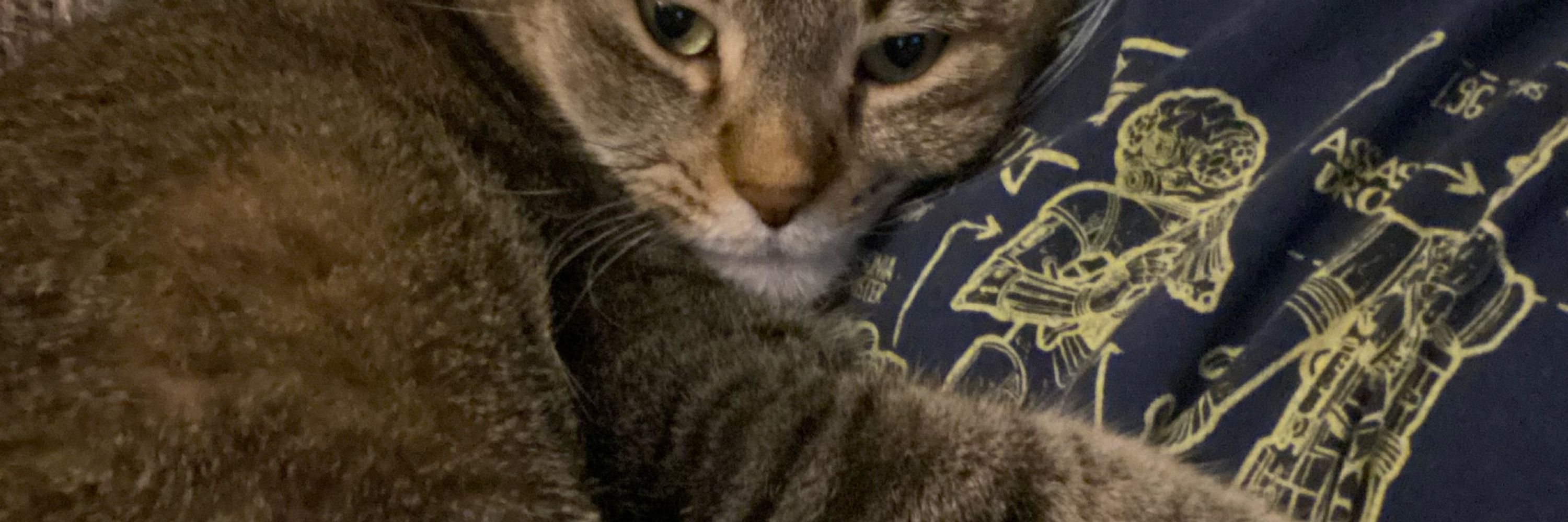 Pat