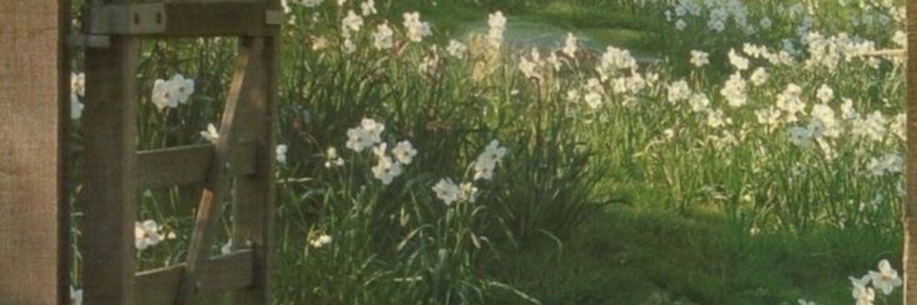 monte