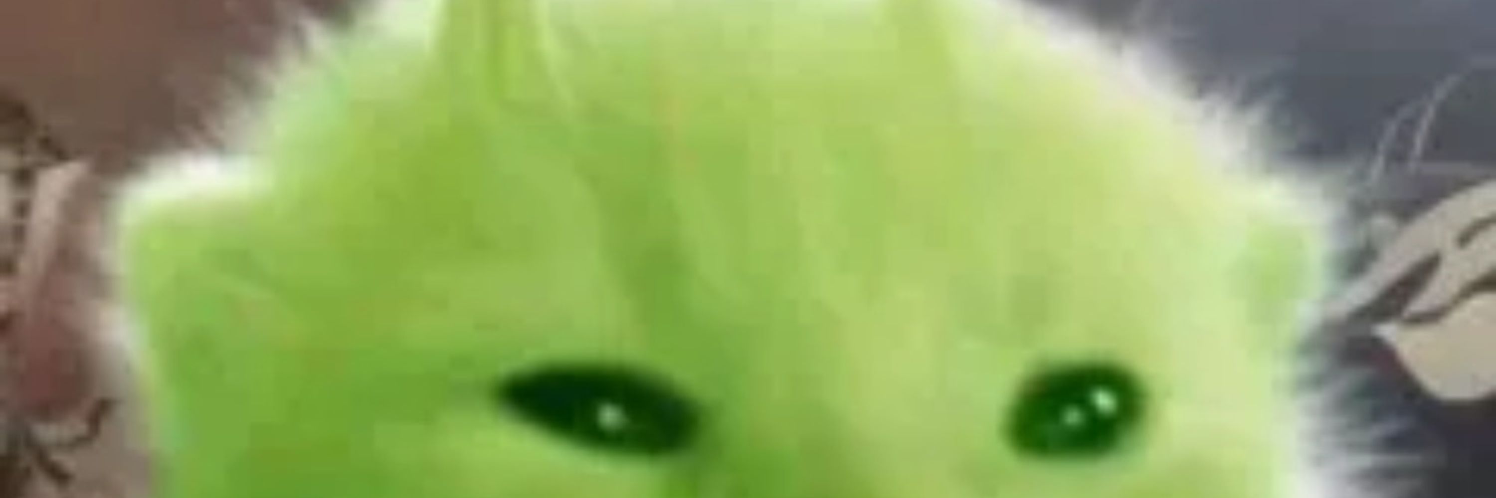 May