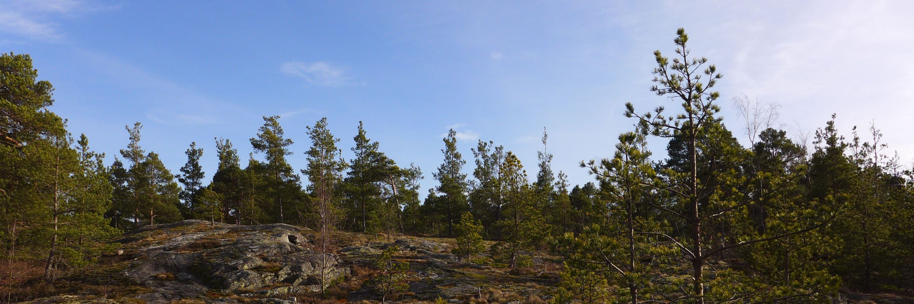 hillox