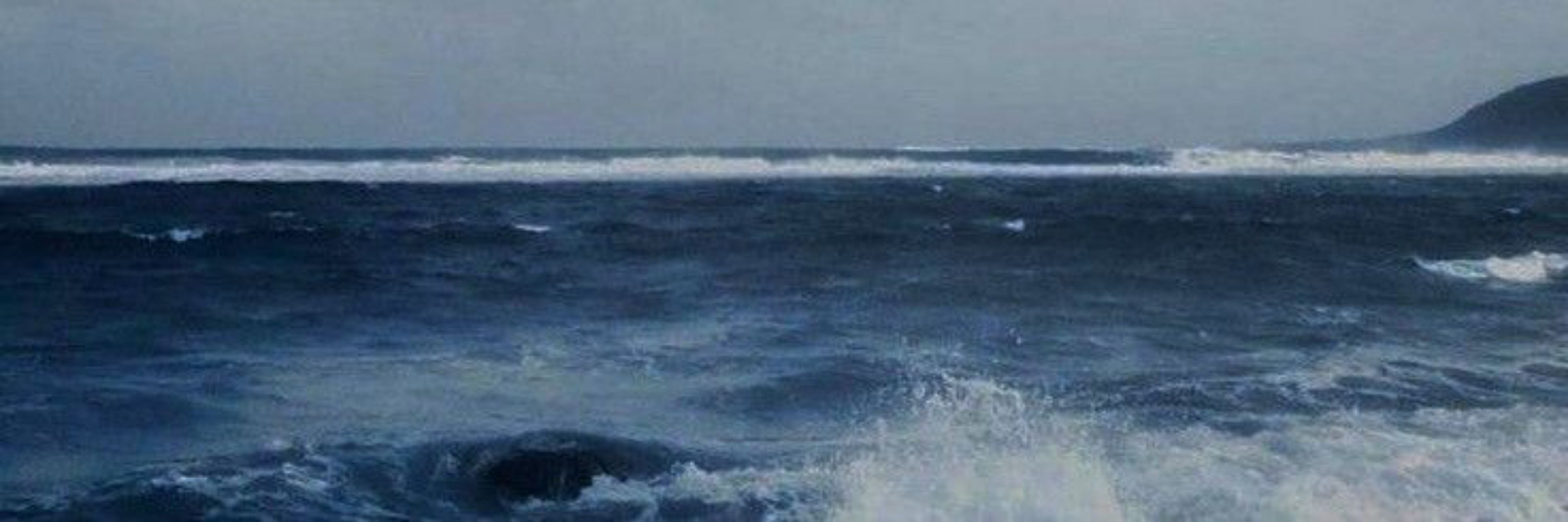 have you heard of the ocean