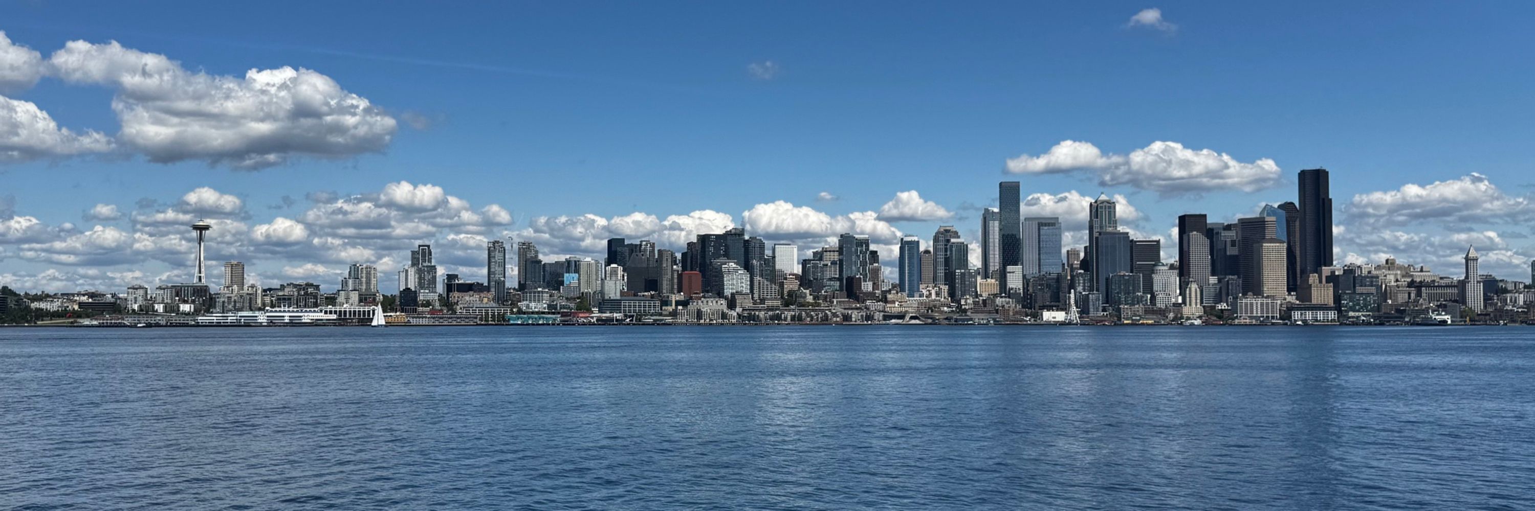 sammy b (i like seattle)