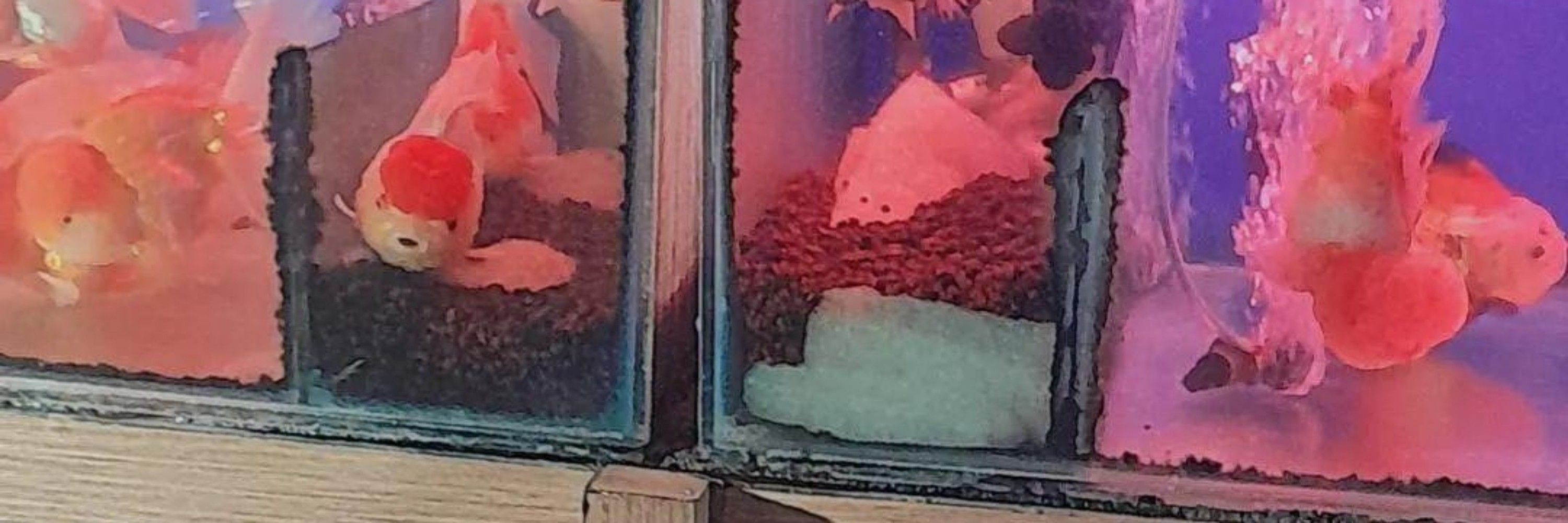 Nannn