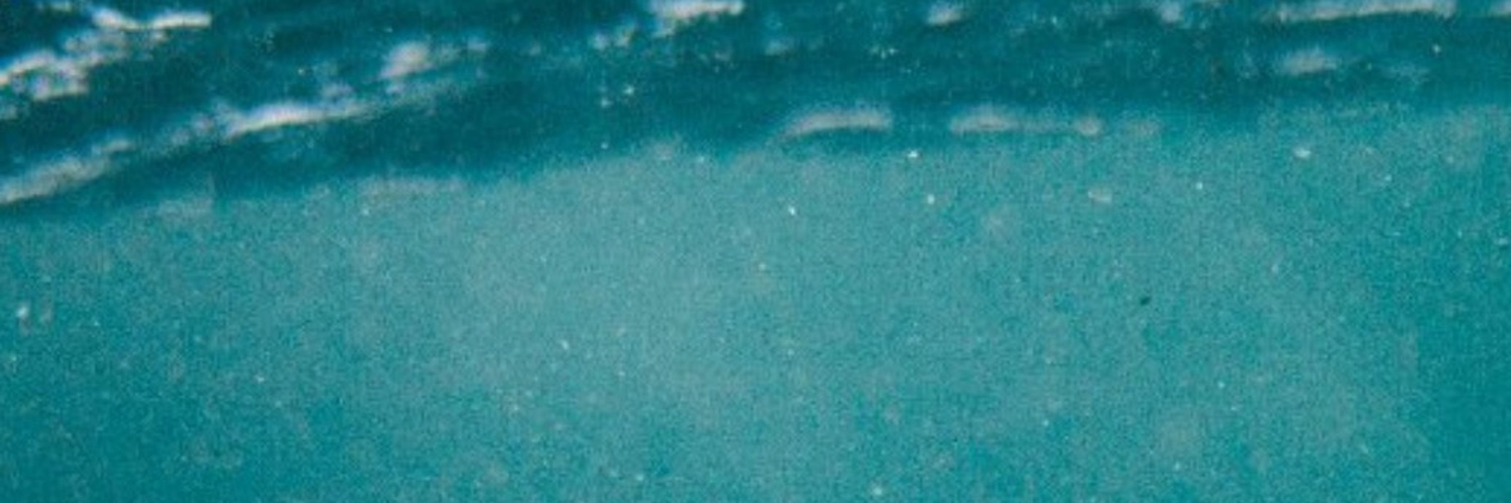 Flood_Hound