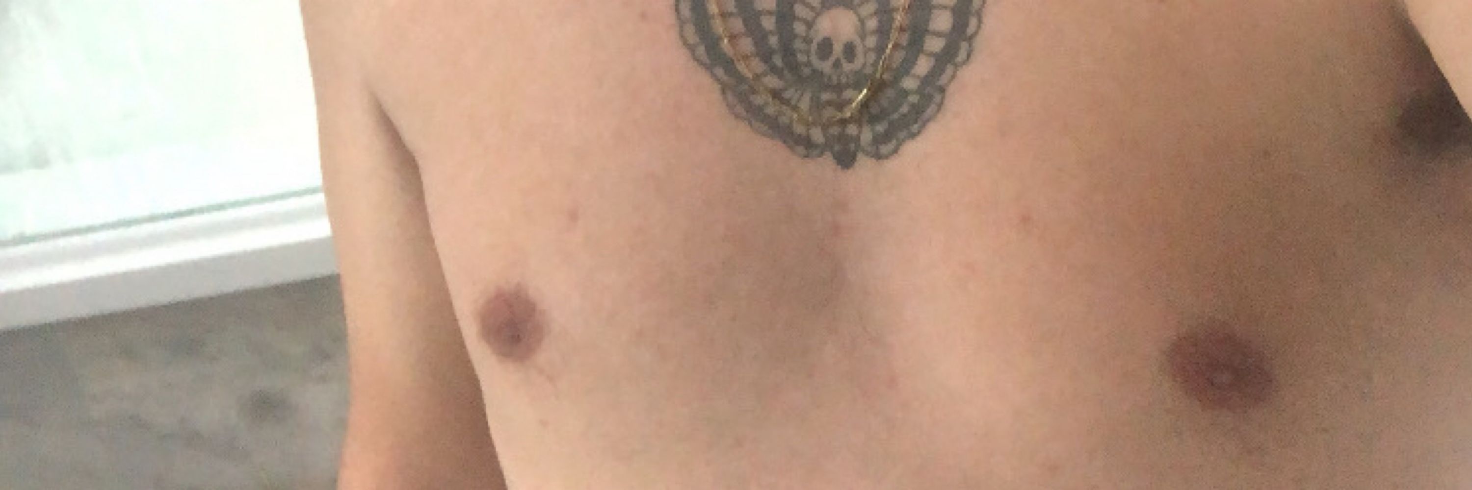 🏳️‍🌈🍑🐻