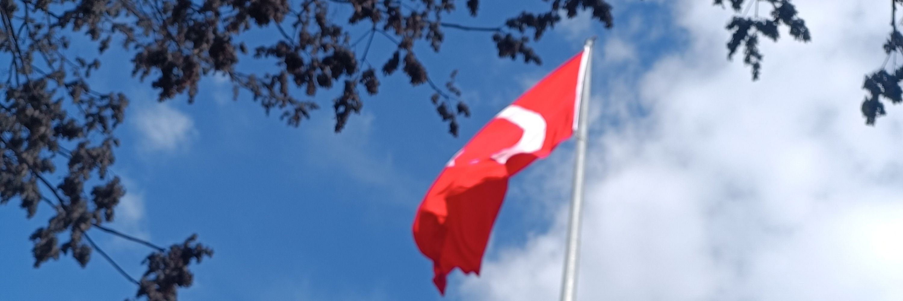 Boyacı/Dövmeci