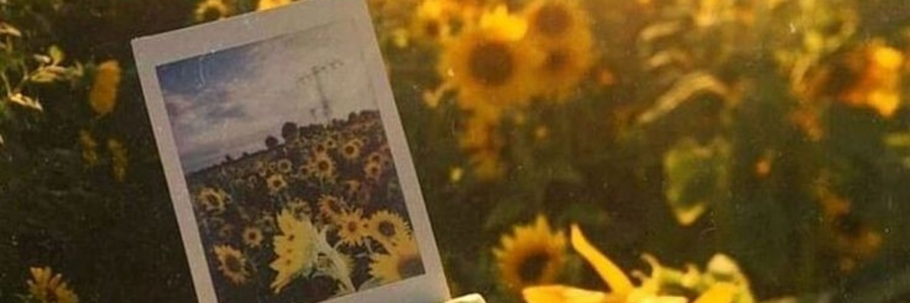 aliza 🌻 