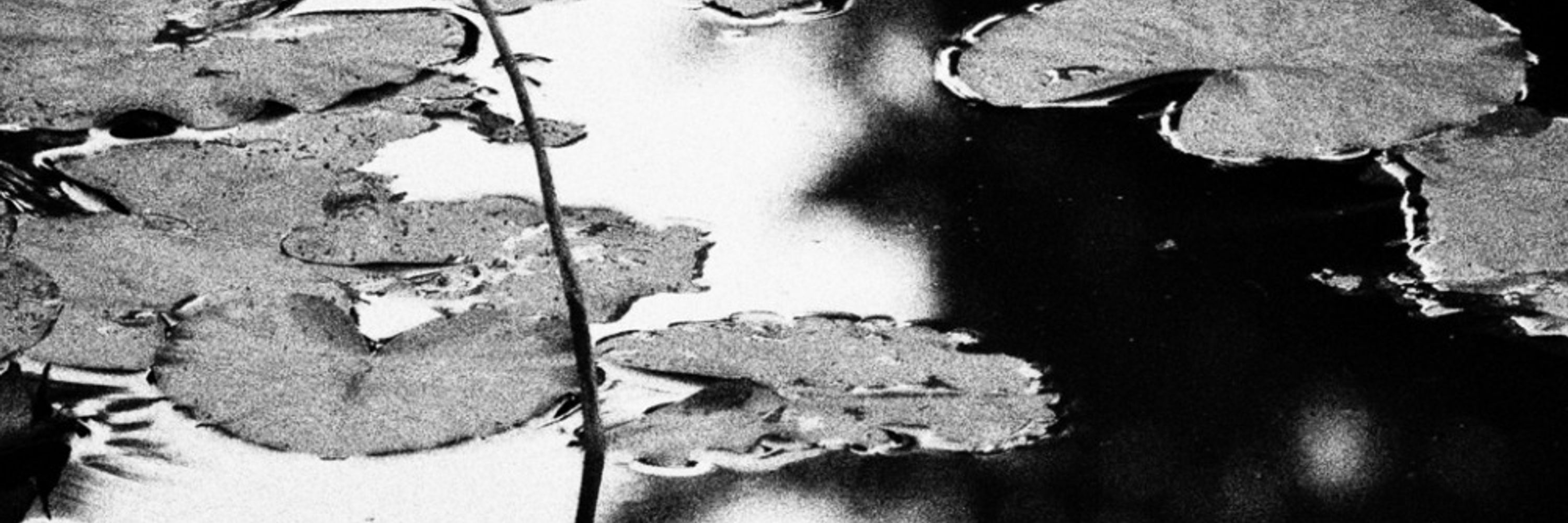 Marie Lou Picard