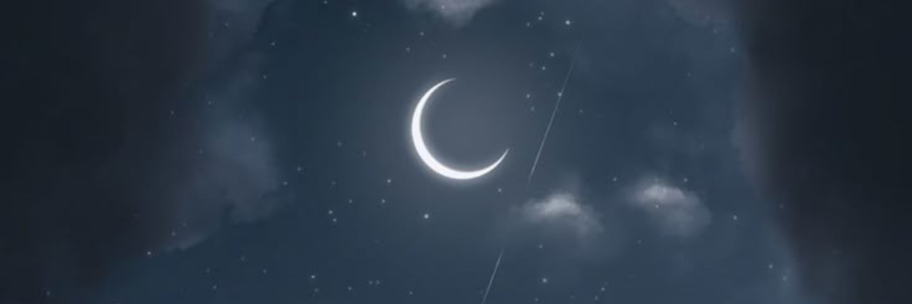 кот morfei