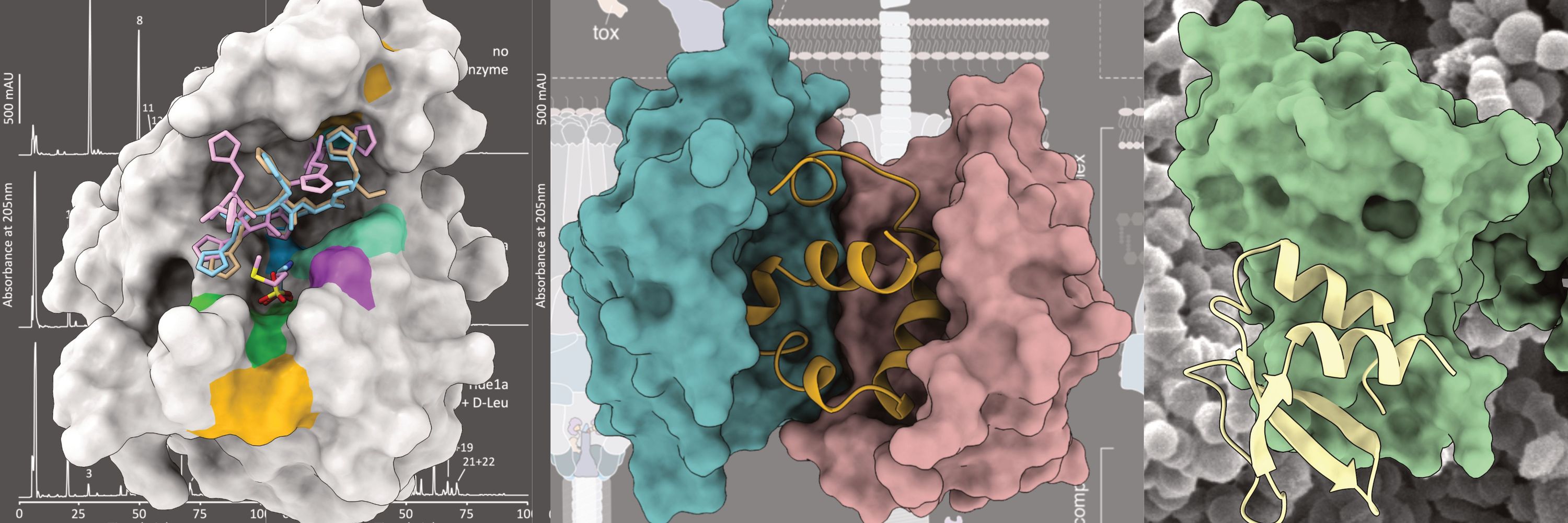 Prehna Lab
