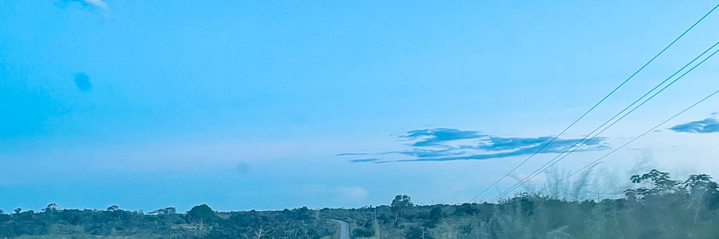 Pepedroo