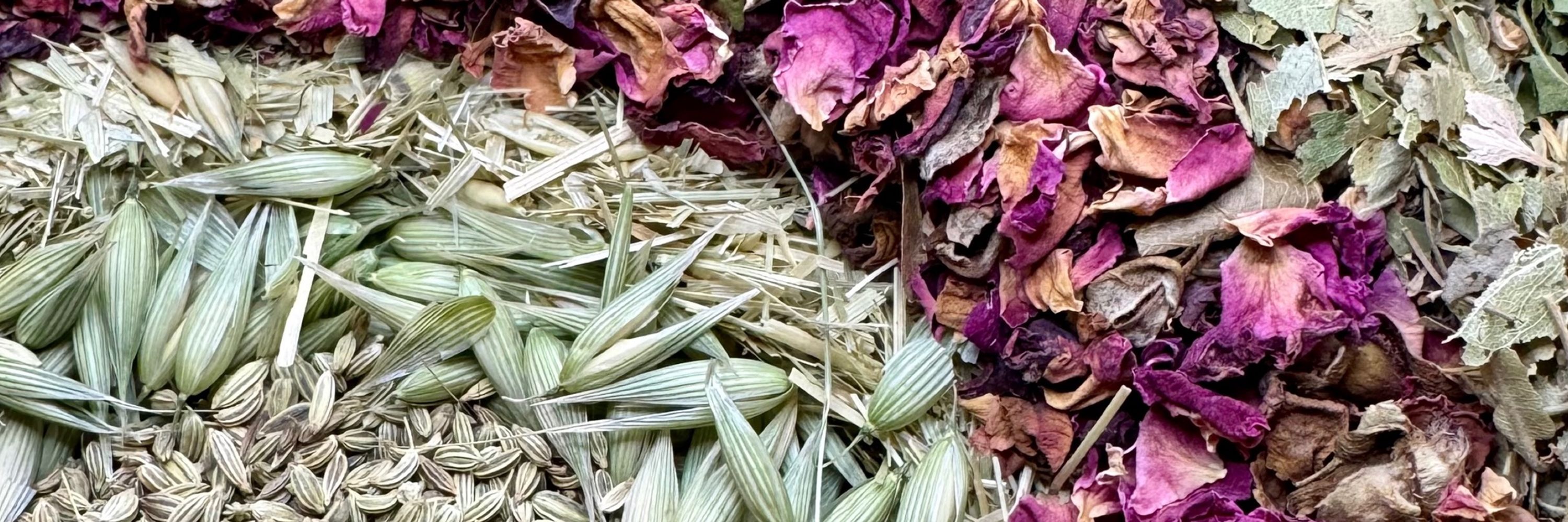 Alchemy & Herbs