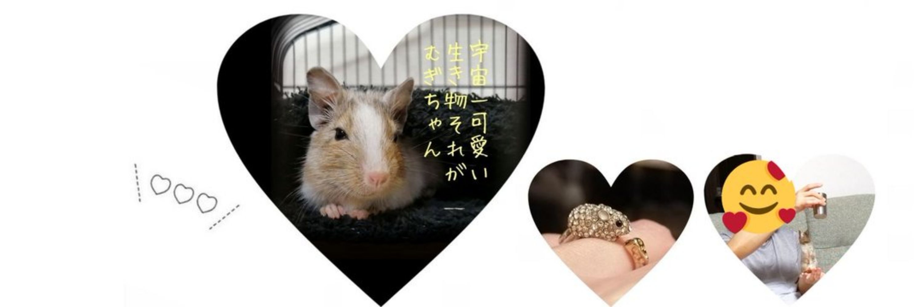 清い蟹🦀…˖⁺