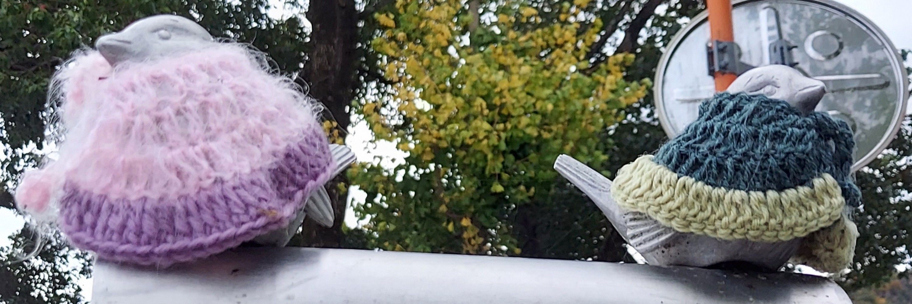 う