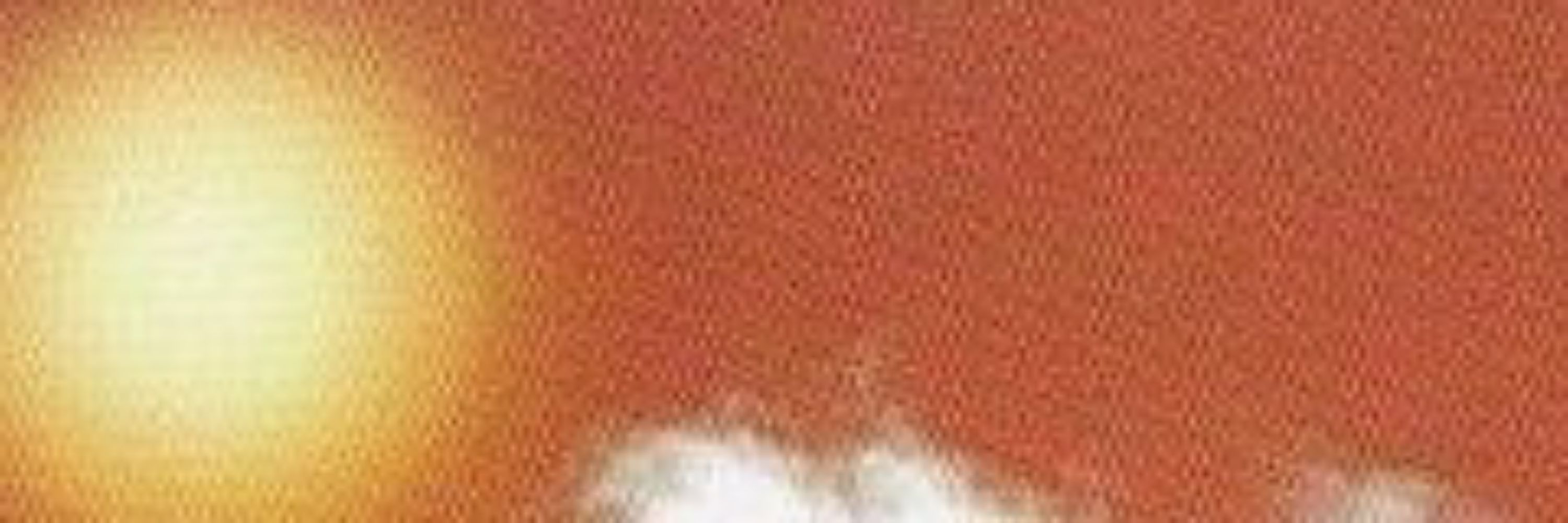 ꒷꒦✮𝘍𝘰𝘳𝘦𝘴𝘵 ✮꒦꒷